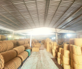 NHÀ MÁY THẢM XƠ DỪA TẠI BẾN TRE