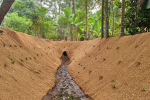 Ứng dụng thảm xơ dừa cho Bảo vệ bờ sông, kênh mương