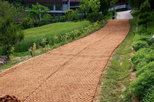 Ứng dụng trong Phục hồi cảnh quan và phủ xanh