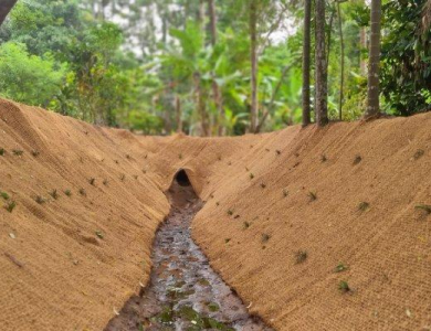 Ứng dụng: Bảo vệ bờ sông, kênh mương